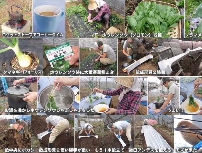 T&F自然日記1802